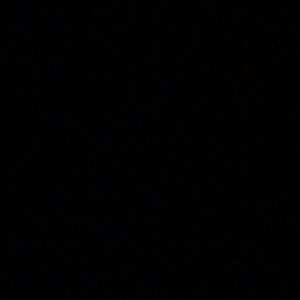 Meet your Posher, Hunter